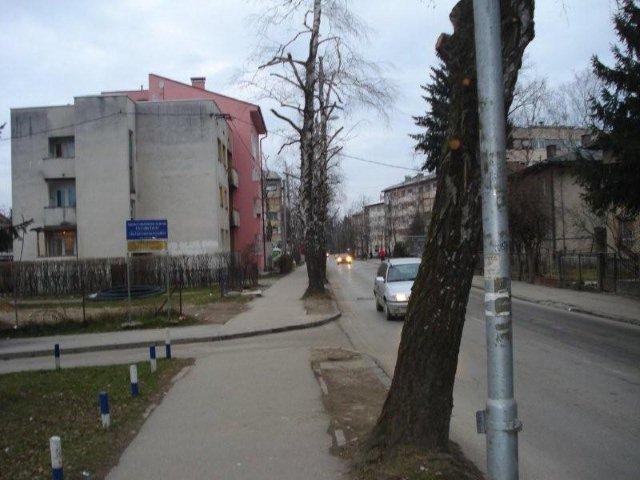 20za pajpa i kangu